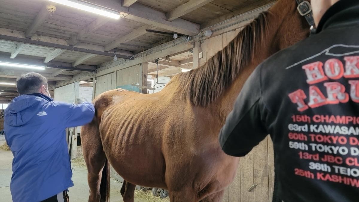 3c9d32dae28d91c8cb5037ee32bd015e-1763312823.jpg 3c9d32dae28d91c8cb5037ee32bd015e-1763312823.jpg